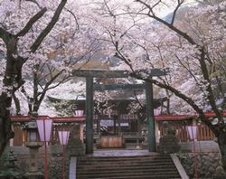 金崎宮正面