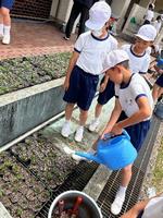 湯尾植え替え