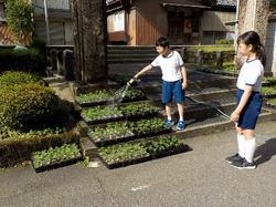 湯尾水やり