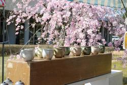 桜まつり