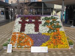 おもてなし花壇遠景