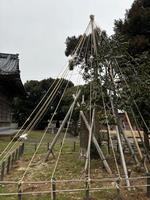 全景