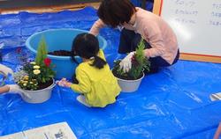 若い福井2