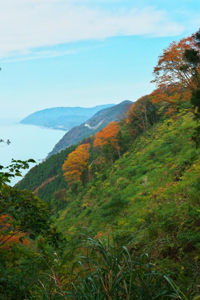 海が見える林道