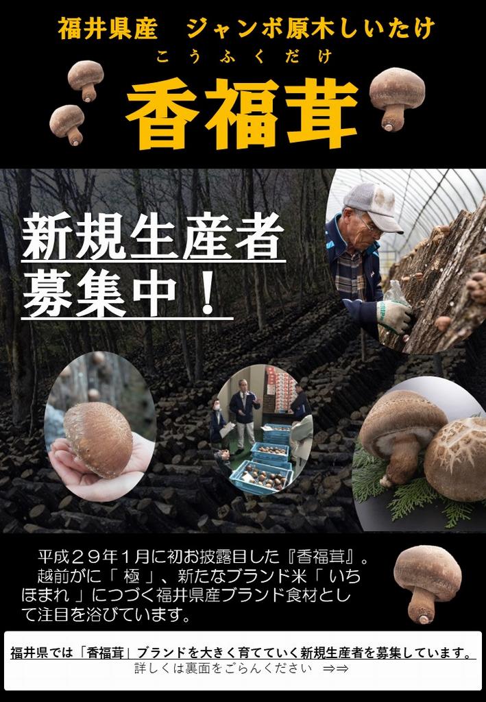 募集表