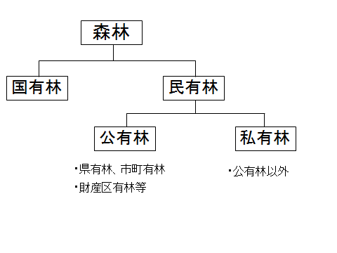 森林の所有区分フロー図