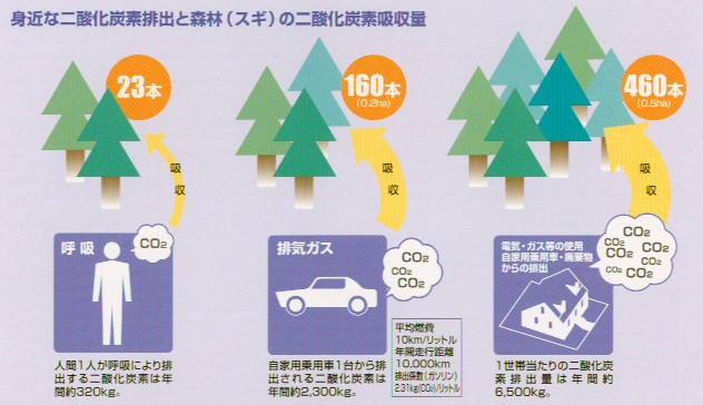 身近な二酸化炭素排出と森林（スギ）の二酸化炭素吸収量