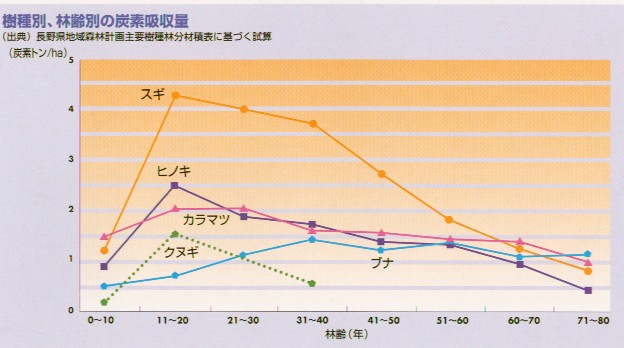 樹種別、林齢別の炭素吸収量