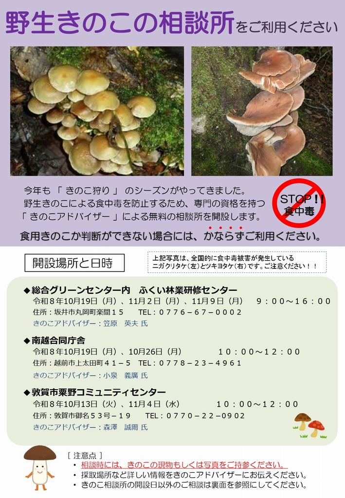 野生きのこの相談所のチラシ