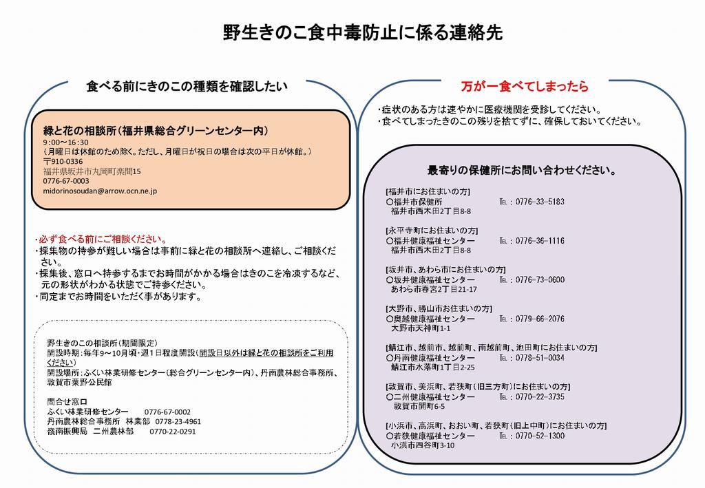 野生きのこの相談所のチラシ