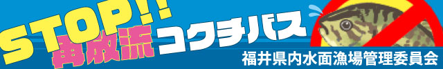 バナー