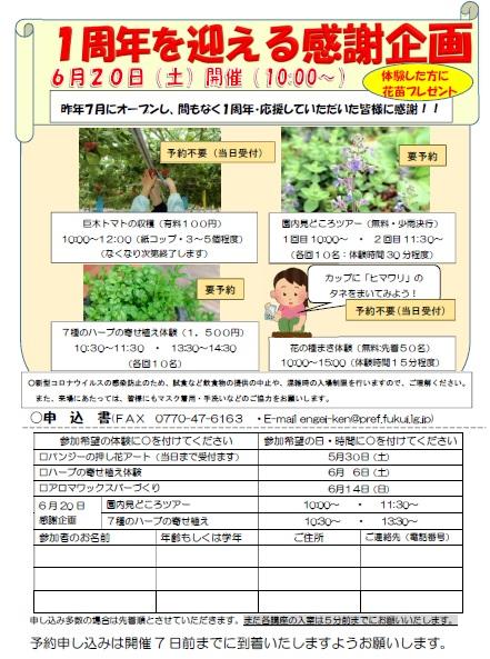 チラシうら