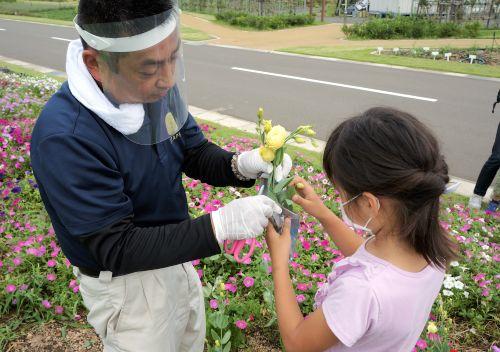 収穫体験（花）