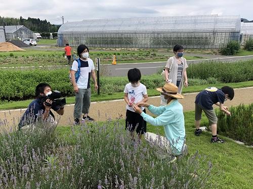 ハーブ摘みとり体験