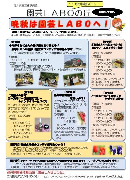 チラシ表