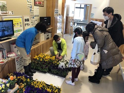 花苗プレゼント