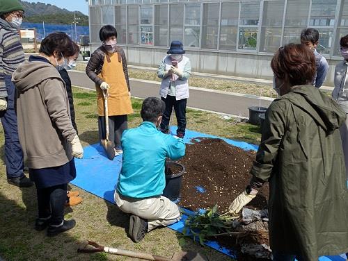 レモンの植え付け体験