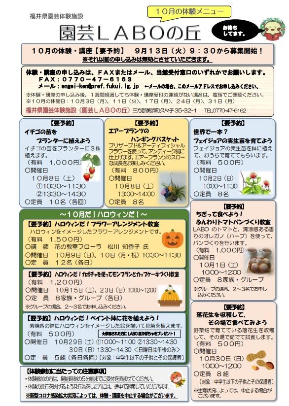 １０月チラシ表
