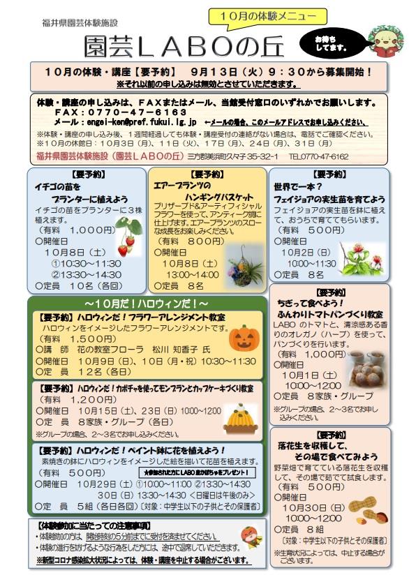 １０月チラシ表