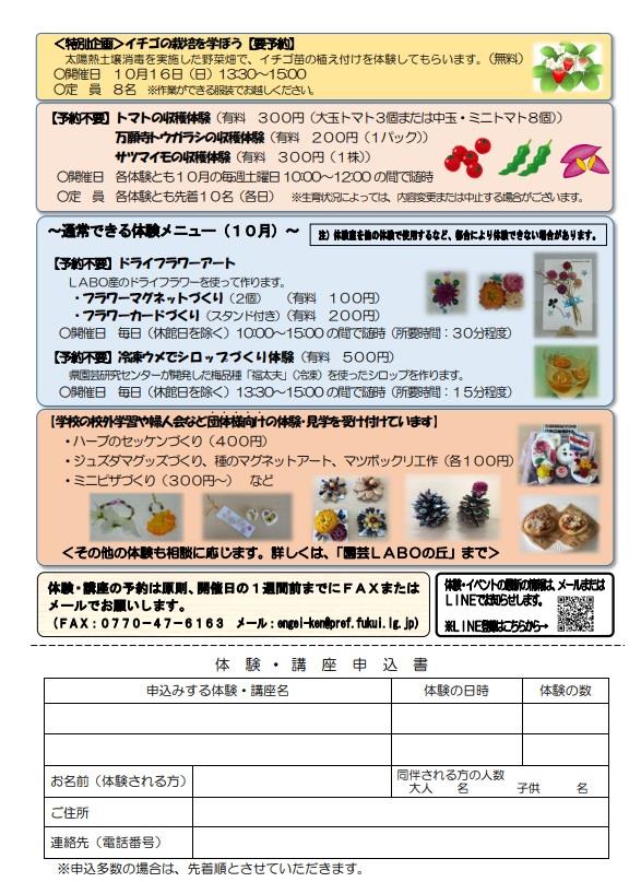 １０月チラシ裏