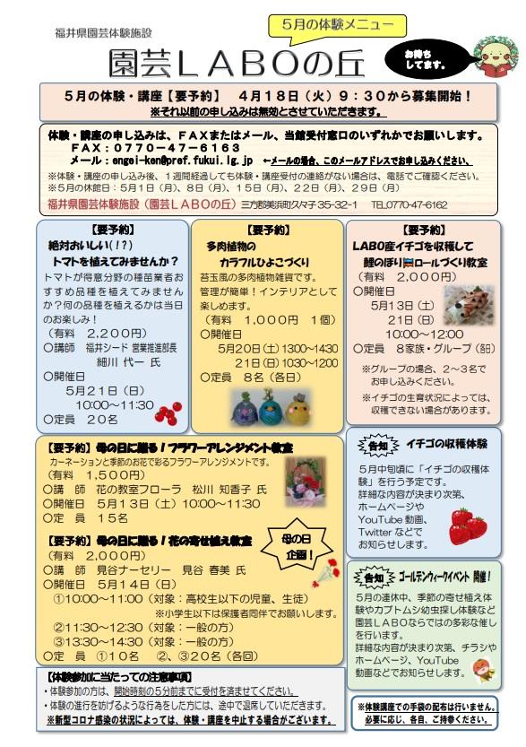 ５月チラシ表