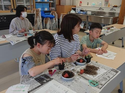 ミニ多肉植物の挿し木講座