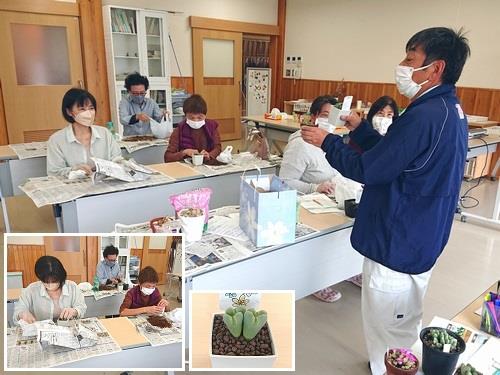 多肉植物「コノフィツム」の植え替え体験