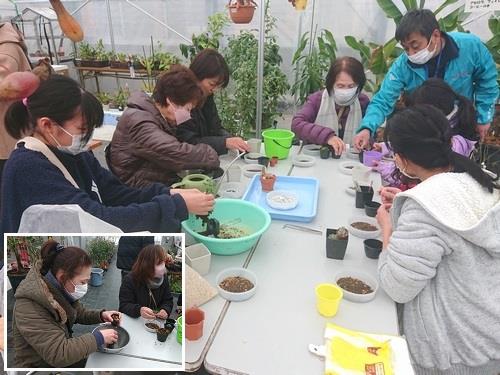 (多肉植物の植え付け体験)