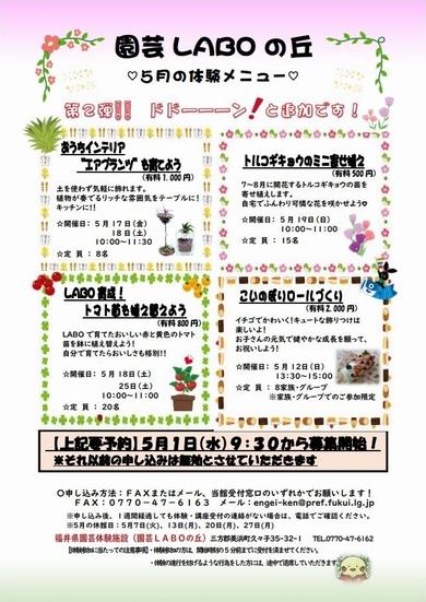 2024年５月体験チラシ(第２弾)表
