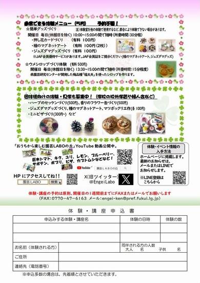 2024年５月体験チラシ(第２弾)裏