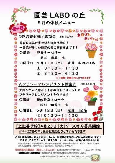 2024年５月体験チラシ表