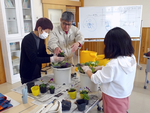 ビオラとハボタンのデコレーション