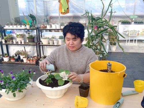 お花のプチ寄せ植え(土曜限定体験)