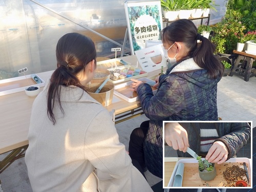 多肉植物の寄せ植え(土曜限定体験)
