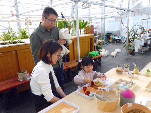 多肉植物の寄せ植え(土曜限定体験)