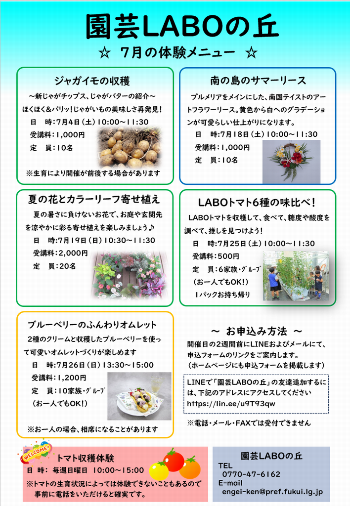26年7月体験チラシ