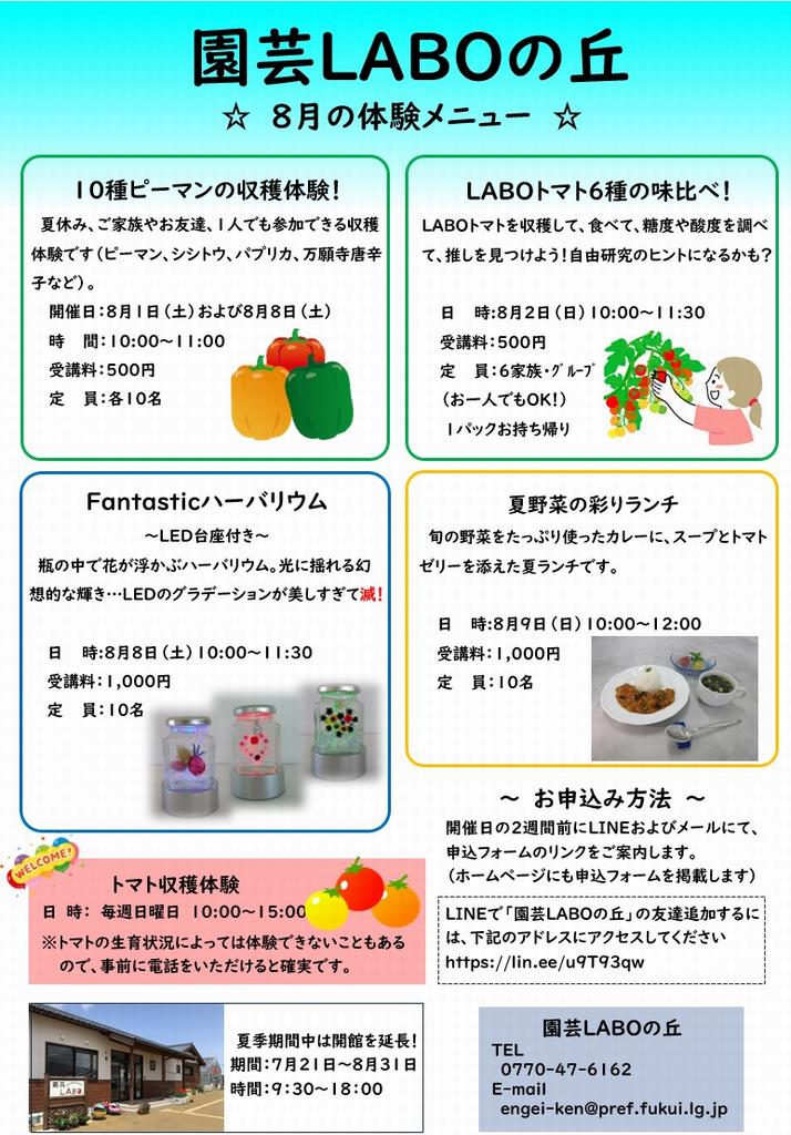 26年7月体験チラシ