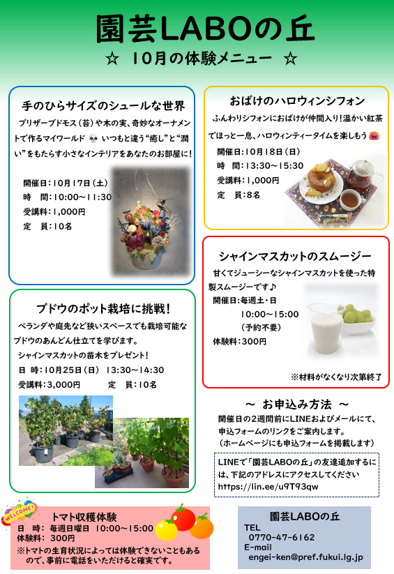 26年10月体験チラシ