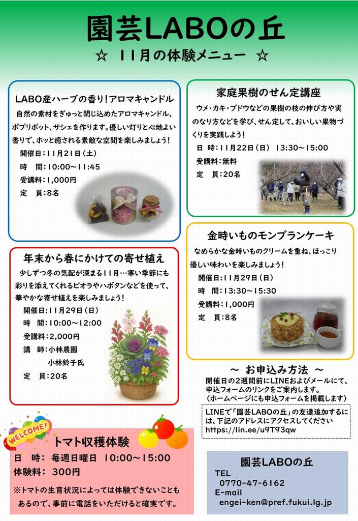 26年11月体験チラシ