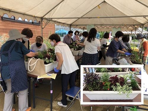 カラーリーフの寄せ植え