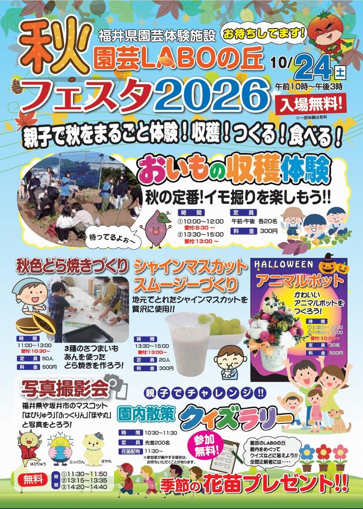 ちらし表