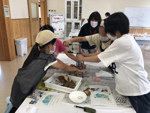 種の油絞り