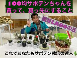 サボテン講座　１