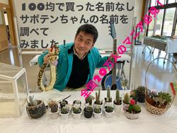 サボテン講座　２
