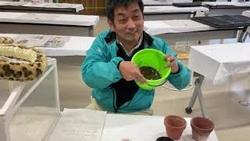 サボテン講座　３