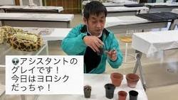 サボテン講座　４