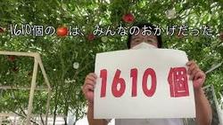 巨木トマト１６１０個