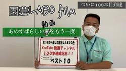 動画100本達成