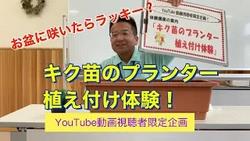 YouTube講座（キク植え付け）