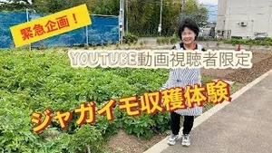緊急企画！YouTube動画視聴者さま限定　ジャガイモ収穫体験